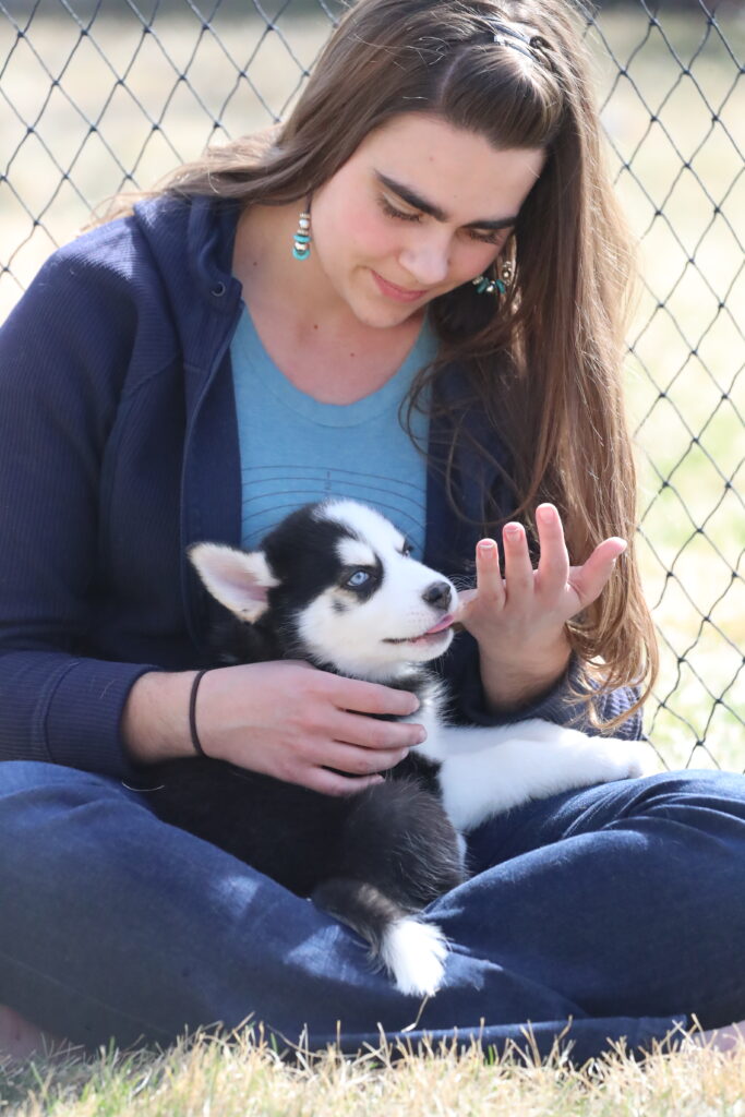 woman with a black and white husky in her lap