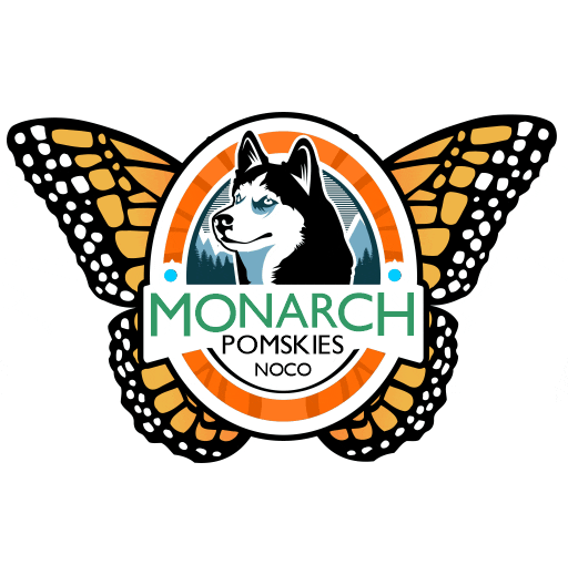 Monarch Pomskies NOCO