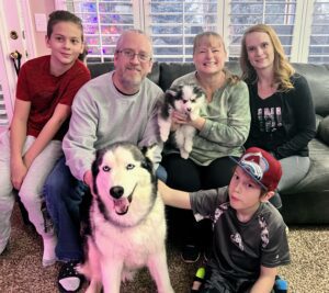 A family picture with a husky and a pomsky