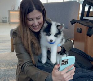 A family-owned Pomsky Breeder