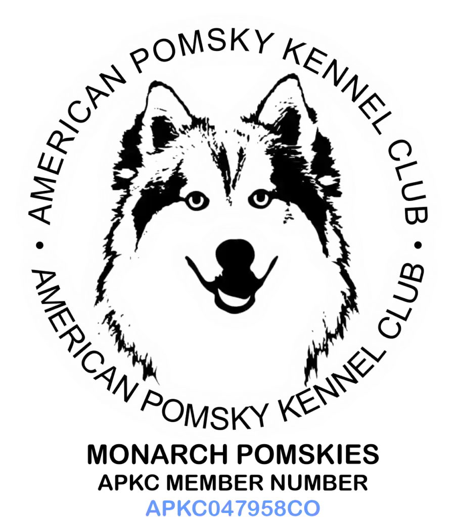 Pomsky store kennel club