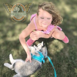 A girl is playing with her dog on the grass.