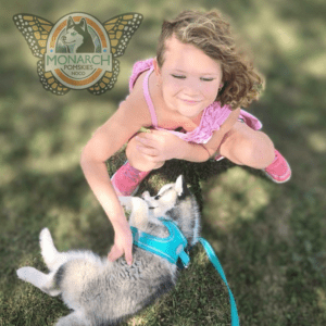 A girl is playing with her dog on the grass.